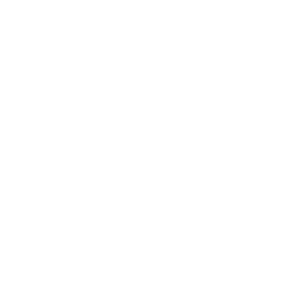 RaÃcesPilot